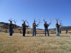 A Good Week in Camp 2011
