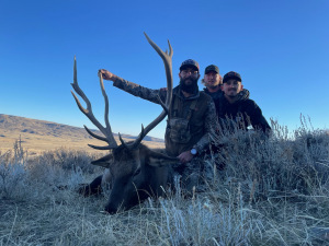 Joe Kap management bull - 2021 WHO Hunt