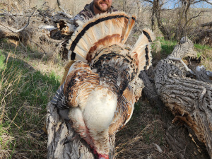 Tony Pogrelis - 2023 WHO Hunt