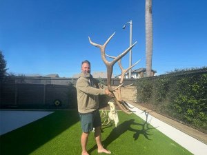 2025 Wagonhound Outfitters - Elk - Todd Adamson