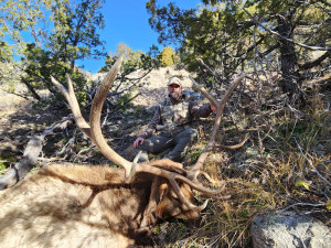 2025 Wagonhound Outfitters - Elk