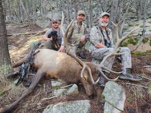 2025 Wagonhound Outfitters - Elk - Jeff Stieglitz