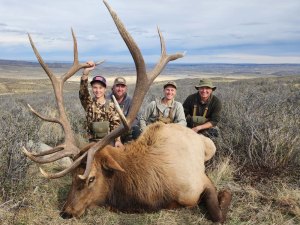 2025 Wagonhound Outfitters - Elk - Larissa Renemans