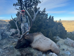 2025 Wagonhound Outfitters - Elk - Charles Ezell
