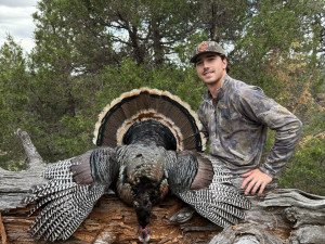 2025 Wagonhound Outfitters - Turkey