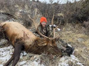 1_IMG_20241126_100823