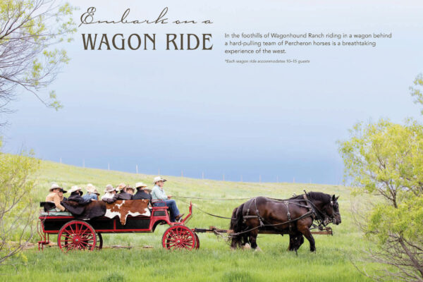 Reid Creek Wagon Ride