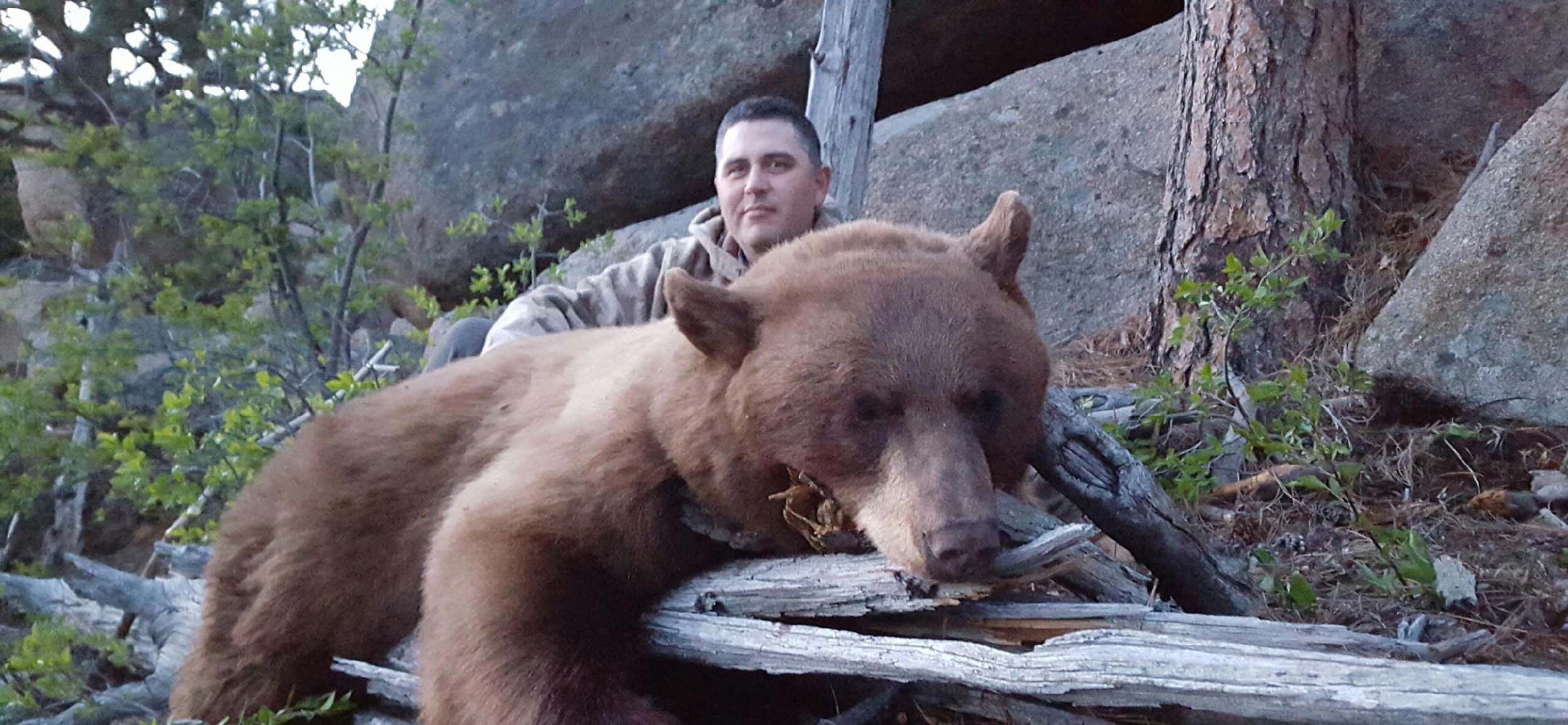Wyoming Black Bear Hunts Wagonhound Outfitters