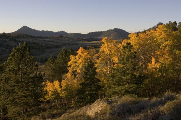 Wagonhound Fall Colors