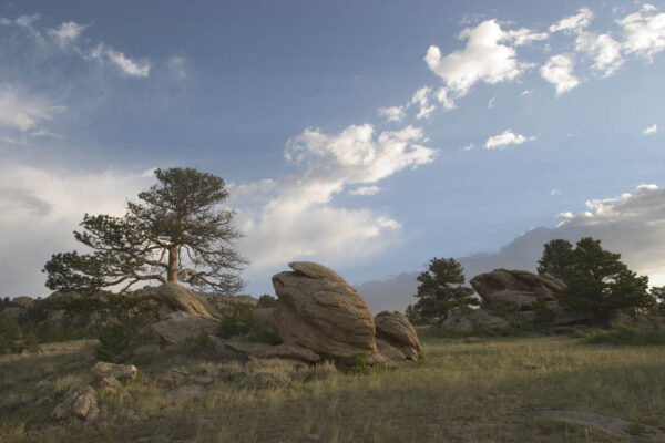 wagonhound-ranch-scenery