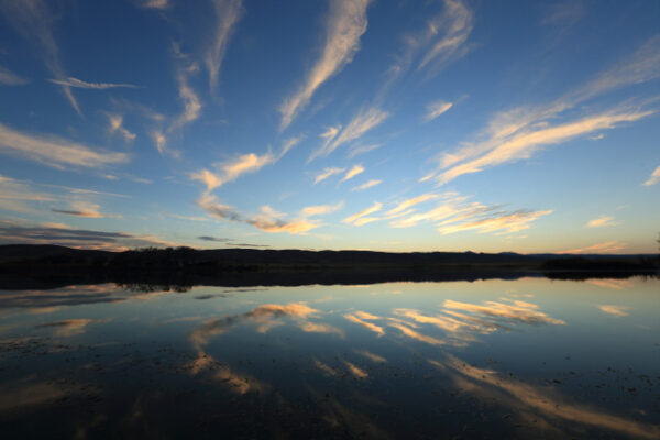 Wagonhound Twilight Lake